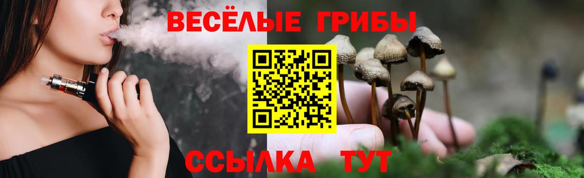 Псилоцибиновые грибы прущие грибы Лысьва